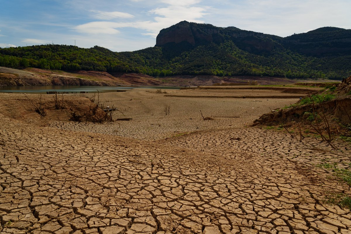 Life eCOadapt50 (@lifeecoadapt50) on Twitter photo 🌡️Els efectes del canvi climàtic són una realitat present i cal actuar amb urgència i determinació.
📊 Segons l'<a href="/EurobarometerEU/">Eurobarometer</a> de juliol, el 85% de la ciutadania europea considera que el canvi climàtic ha de ser una prioritat màxima per als governs
📌construible.es/2025/07/03/85-… 🌡️Els efectes del canvi climàtic són una realitat present i cal actuar amb urgència i determinació.
📊 Segons l'<a href="/EurobarometerEU/">Eurobarometer</a> de juliol, el 85% de la ciutadania europea considera que el canvi climàtic ha de ser una prioritat màxima per als governs
📌construible.es/2025/07/03/85-…