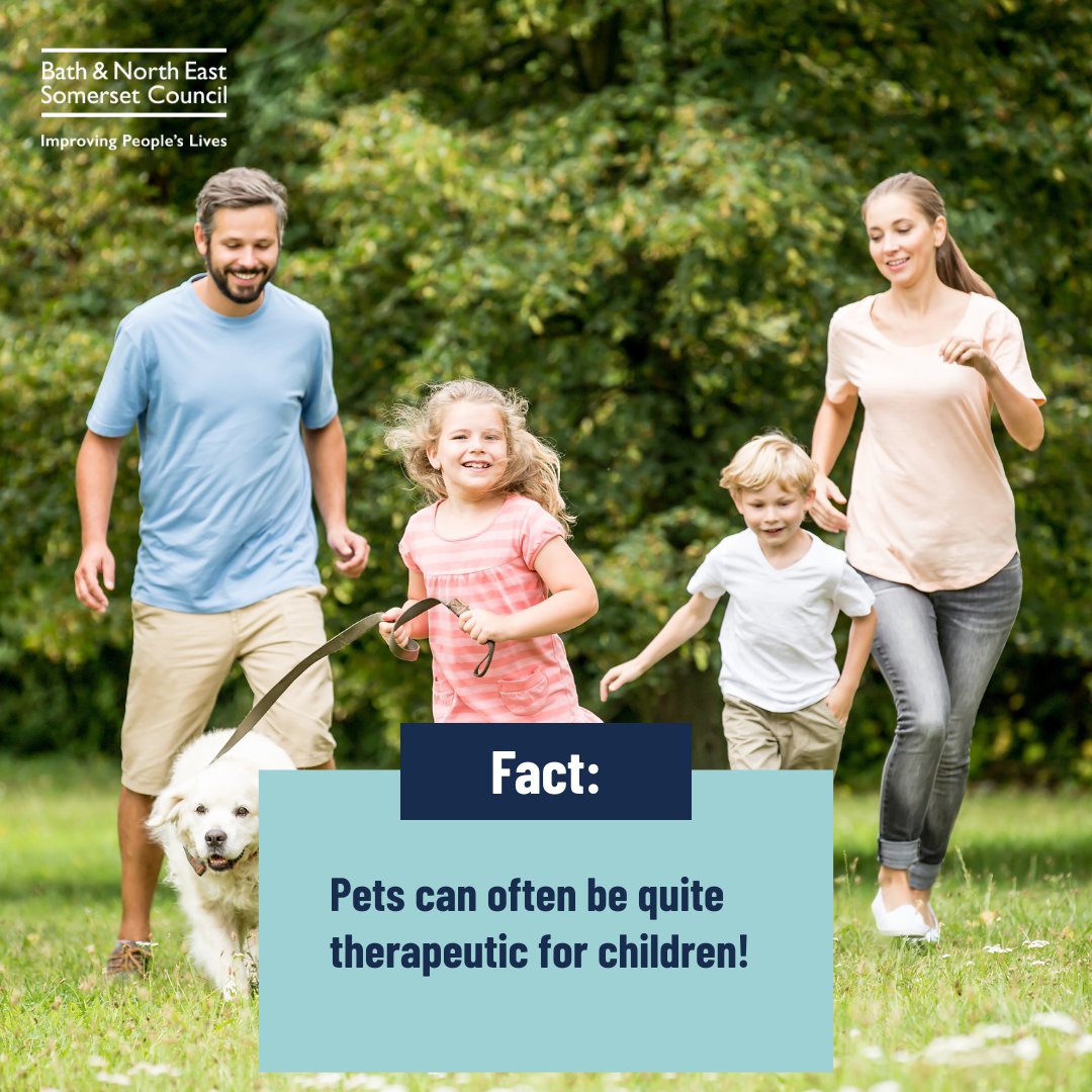 bathnes's tweet image. Having a pet won’t affect your eligibility to foster.
They can often be helpful for children to have around, however we do a matching process to make sure it works for both you and the child you care for.
@FosteringBANES