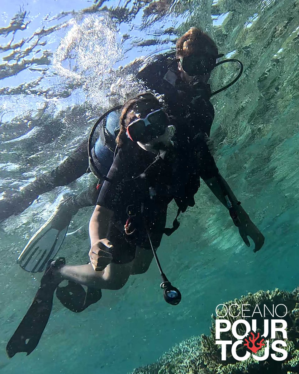 OceanoMonaco's tweet image. OCEANO POUR TOUS – Édition 2025 🌊
Les collégiens de M’Tsamboro, tout juste couronnés lauréats du concours Oceano pour tous, ont terminé l’année en beauté avec une série d’actions aussi inspirantes qu’engagées !
#OceanoPourTous
