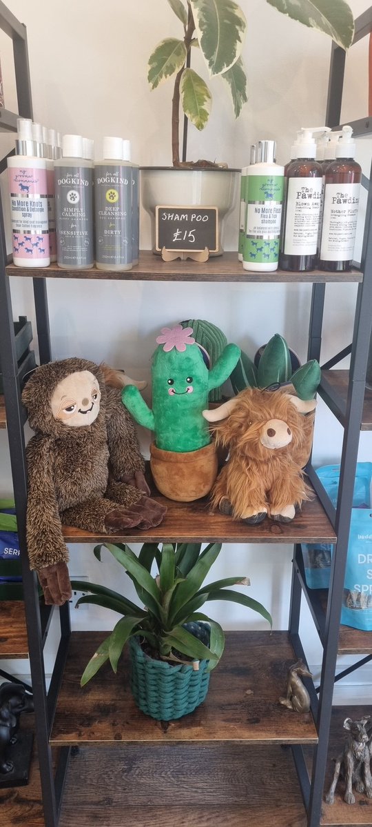 tootingnewsie's tweet image. Howden #Tooting has launched a Business of the Month initiative to spotlight amazing local talent, such as SW Dog Groomers: swdoggroomers.co.uk!
Want to be featured? 📞 0208 672 3375 or 📧tooting@howdeninsurance.co.uk
Businesses, charities & community groups all welcome!