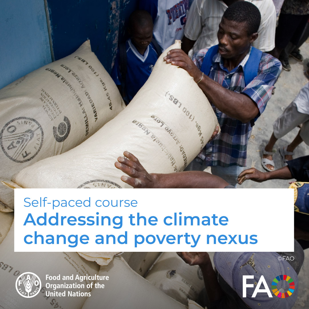 FAOCaribbean's tweet image. 🎓 Free self-paced course!
Addressing the climate change and poverty nexus🌎🔥
Strengthen awareness, motivation, understanding and capacity to implement climate and poverty reduction actions
Register now! ➡️fao.org/in-action/fao-…