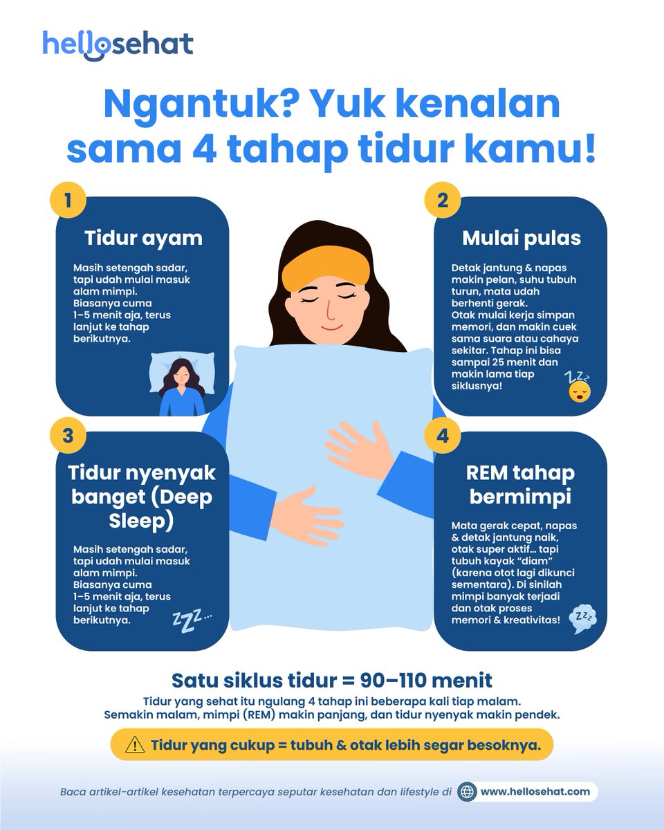 HelloSehat's tweet image. Ngantuk terus padahal udah tidur semalaman? Bisa jadi kamu kurang tidur nyenyak! Tidur itu punya 4 tahap yang berulang tiap malam, dan masing-masing punya peran penting buat tubuh dan otak kita