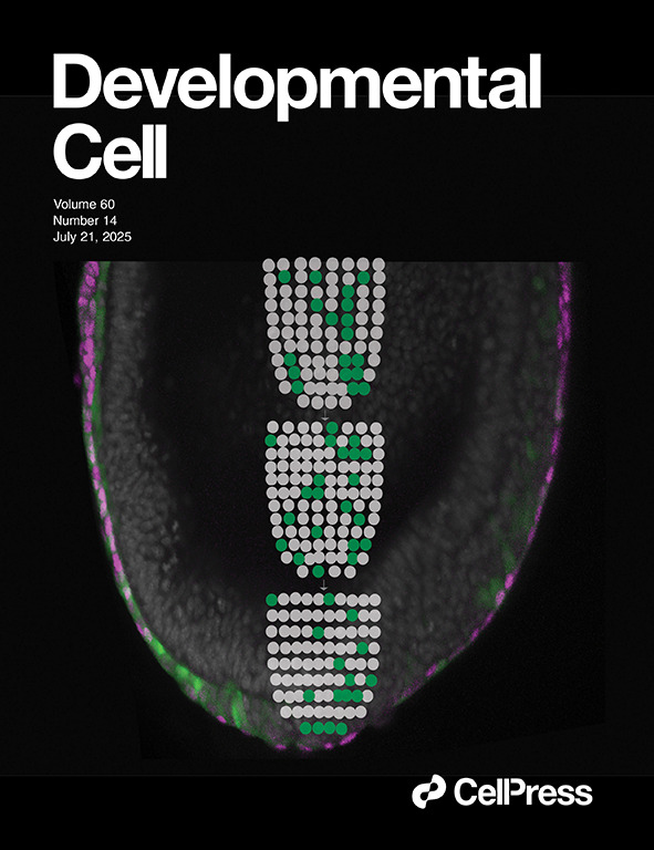 CMRI (@cmri_aus) on Twitter photo Congratulations to Dr Pragathi Masamsetti and our Embryology team for receiving front page of Developmental Cell <a href="/CellPressNews/">Cell Press</a> this week. The knowledge gained through this publication enriches our understanding of early human development. Read more here: doi.org/10.1016/j.devc… Congratulations to Dr Pragathi Masamsetti and our Embryology team for receiving front page of Developmental Cell <a href="/CellPressNews/">Cell Press</a> this week. The knowledge gained through this publication enriches our understanding of early human development. Read more here: doi.org/10.1016/j.devc…