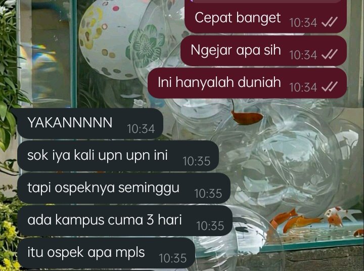 janeaiueo tweet media
