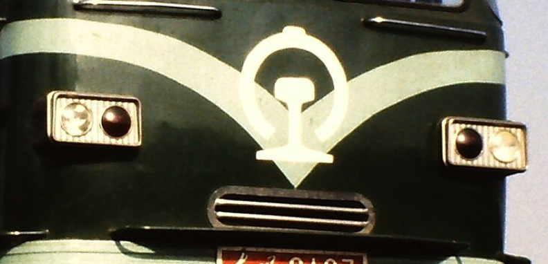 Ely 🇺🇦 🌻 △ tweet media