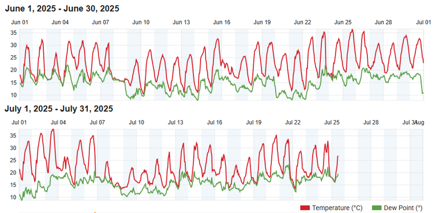 Ich vernehme Stimmen, dass der Sommer kühl sein soll und großes Gelächter bezüglich dem Klimathema ... also ich kann mich nicht beklagen bezüglich Kälte. #wetter #Klimakrise #sommer2025