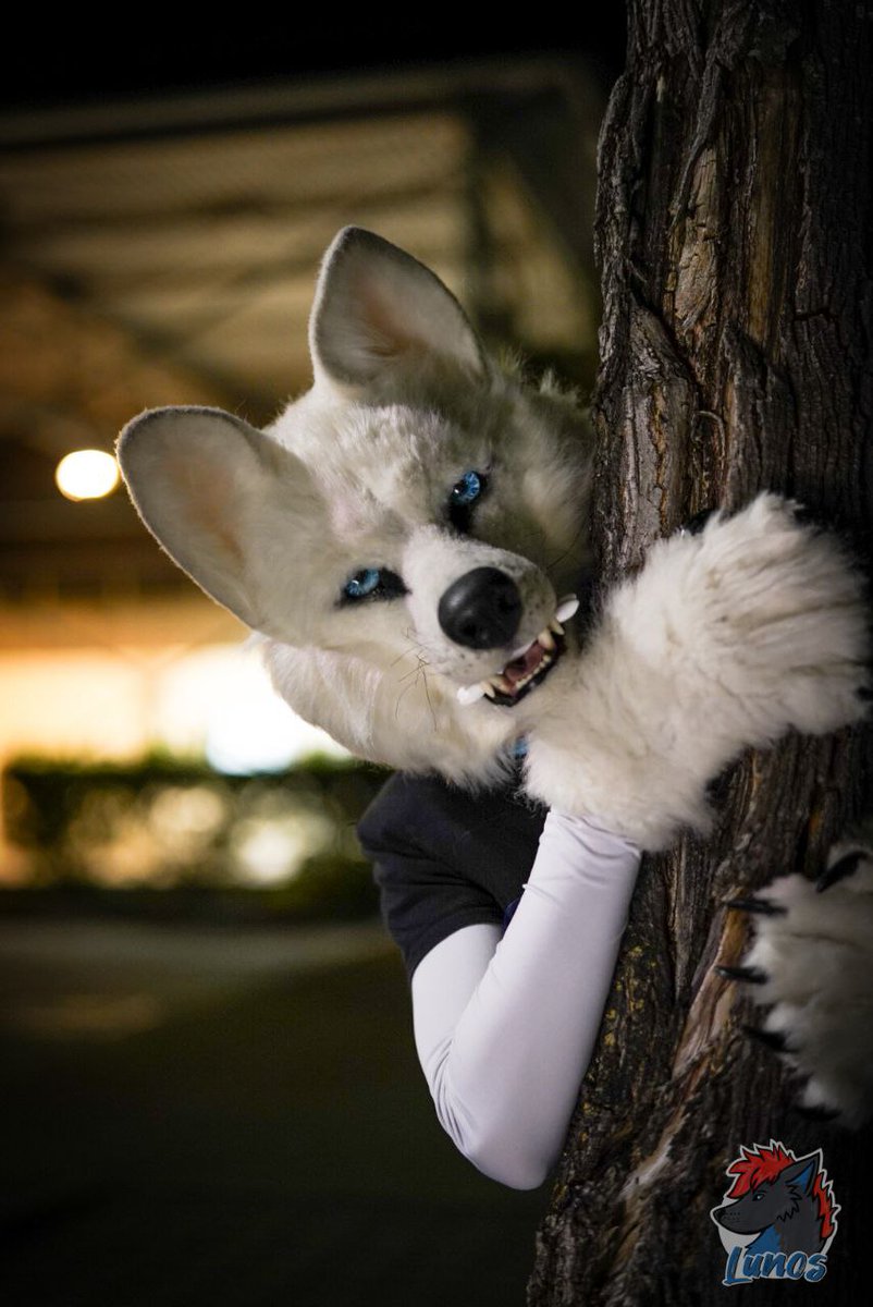 ManchuWolf β‘οΈ2Dance (@manchu_wolf) on Twitter photo Happy #FursuitFriday
πΊ <a href="/Manchu_Wolf/">ManchuWolf β‘οΈBFD</a>
βοΈ <a href="/crafts_from/">FromSiberiaCrafts</a>
βοΈ <a href="/skipp_wolf/">Skippwolf</a>
π· <a href="/LunosWolf/">Lunos</a>
π04.07.2025
π #Plochingen
#Fursuit #Wolf #furry Happy #FursuitFriday
πΊ <a href="/Manchu_Wolf/">ManchuWolf β‘οΈBFD</a>
βοΈ <a href="/crafts_from/">FromSiberiaCrafts</a>
βοΈ <a href="/skipp_wolf/">Skippwolf</a>
π· <a href="/LunosWolf/">Lunos</a>
π04.07.2025
π #Plochingen
#Fursuit #Wolf #furry