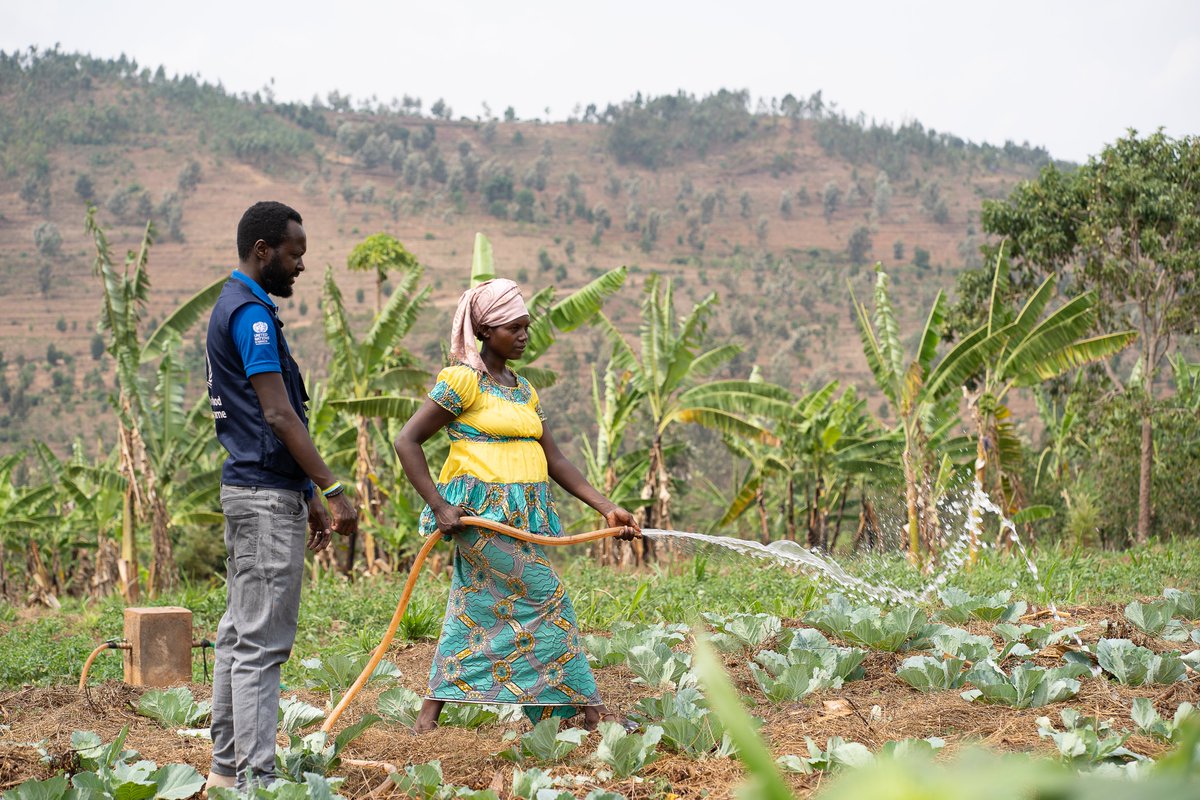 WFP_Rwanda_CD's tweet image. Seeing how unpredictable seasons have been affecting harvests &amp;amp; putting #foodsecurity at risk, is a clear reminder of why #resilience matters.

At @WFP, we’re working with farmers to strengthen resilience thru #climate-smart agriculture &amp;amp; practical support that helps them adapt.