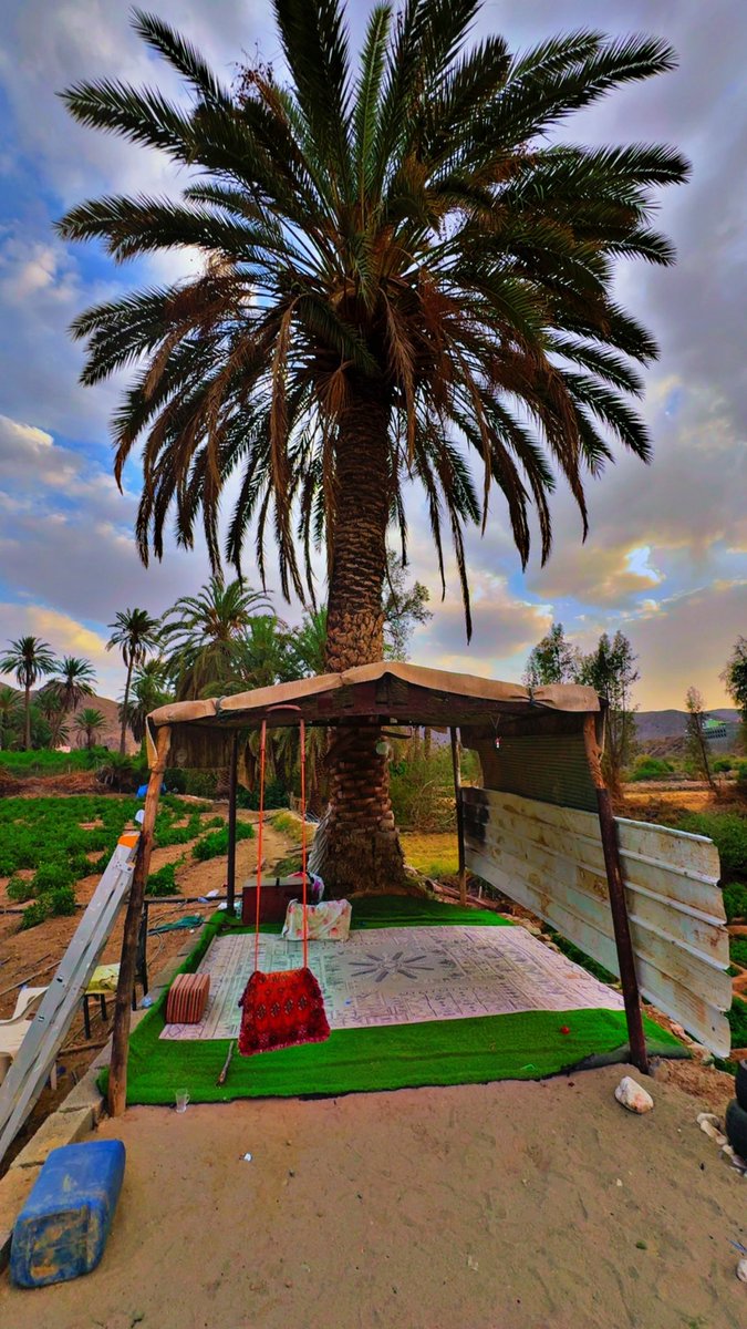 صاحي؟
تتابع تويتر؟
تشوف تغريدتي؟

اكتب شي تكسب من وراه اجر
ولا تنسون امواتكم من الدعاء