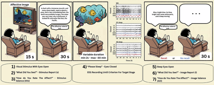CommsBio's tweet image. Visuoaffective day residue in hypnagogia involves sequential bihemispheric interactions between cortical, subcortical, and cerebellar structures: Communications Biology, Published online: 04 July 2025; doi:10.1038/s42003-025-08429-6Mapping neural sources… nature.com/articles/s4200…