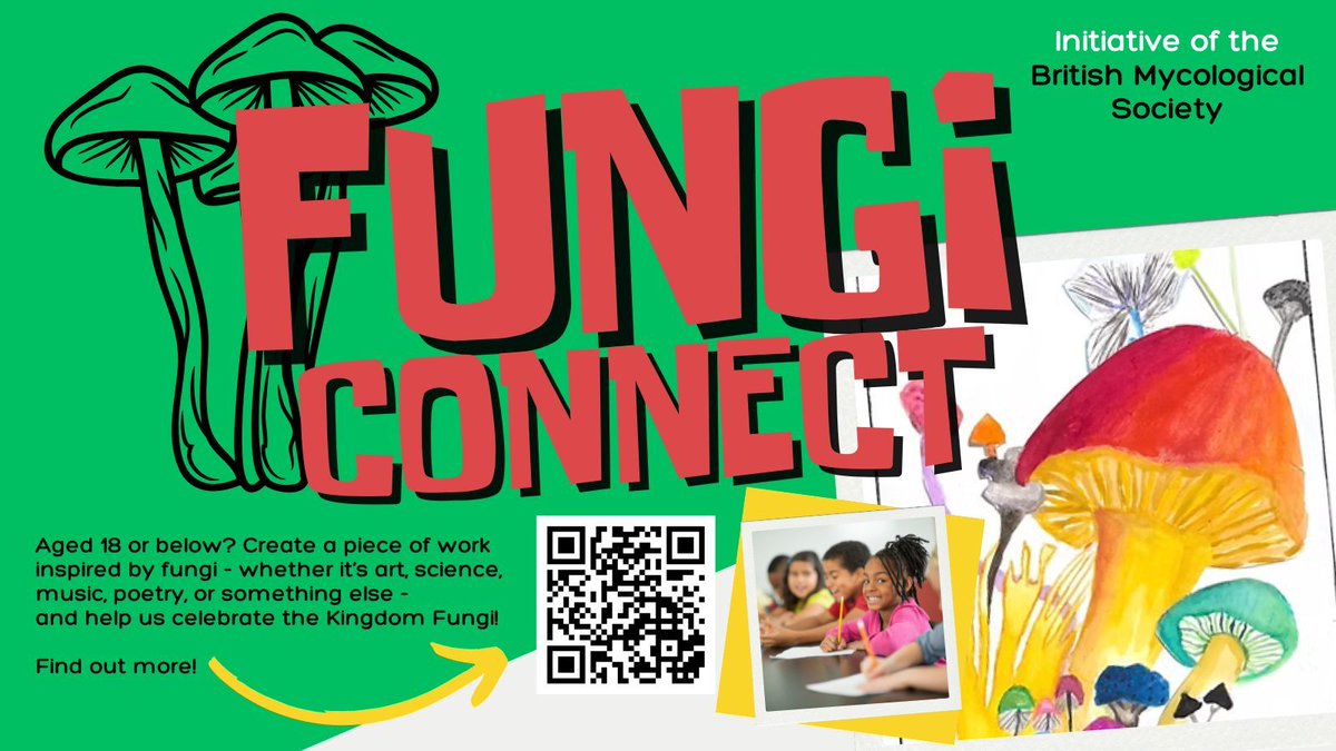 BritMycolSoc's tweet image. Looking for things to do now that school is out? Young people can sign up now to take part in Fungi Connect - for this year's UK Fungus Day! Be inspired and get creative🍄 Find out more: ukfungusday.co.uk/fungiconnect