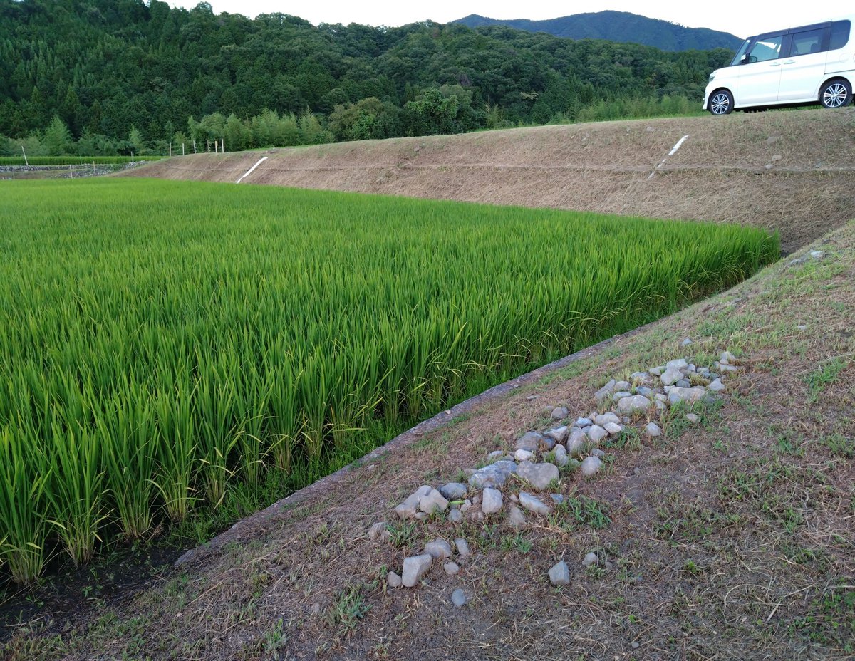 AfXuud427q's tweet image. 地球削るスタイル