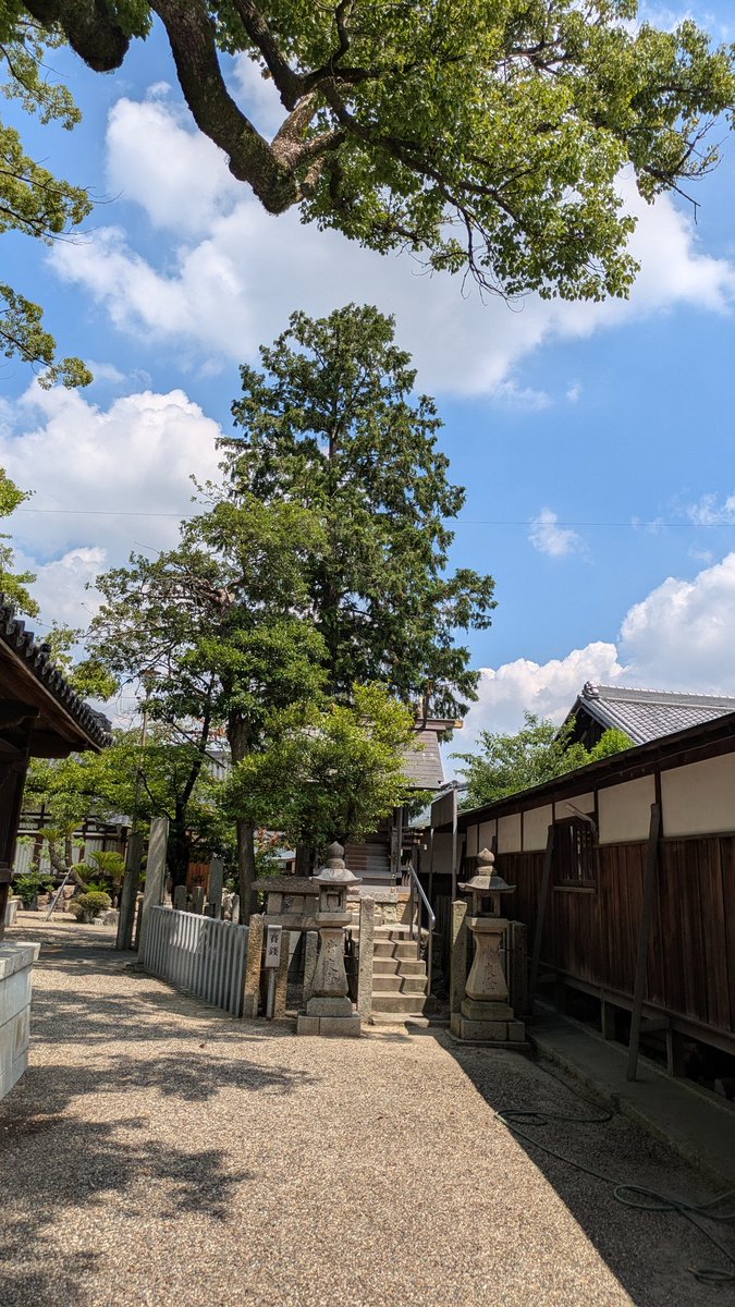 2610Am's tweet image. 氏神様にお参りに行きました⛩️🙏
#神社