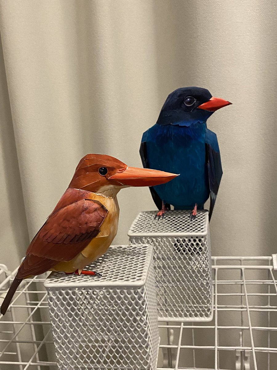 kamitoriya's tweet photo. ブッポウソウを作り始めています
私が住んでいる東北にはいないですかね
なかなか難しいです〜💦
それと、海外のブッポウソウも密かに作り始めています

#papercraft 
#broadbilledroller 
#kamitoriya 
#ペーパークラフト 
#ブッポウソウ 
#紙鳥屋 
#日本の野鳥 https://t.co/BOskjKpEsH