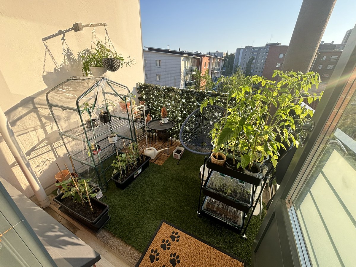 fiffebaa's tweet image. My garden 💚