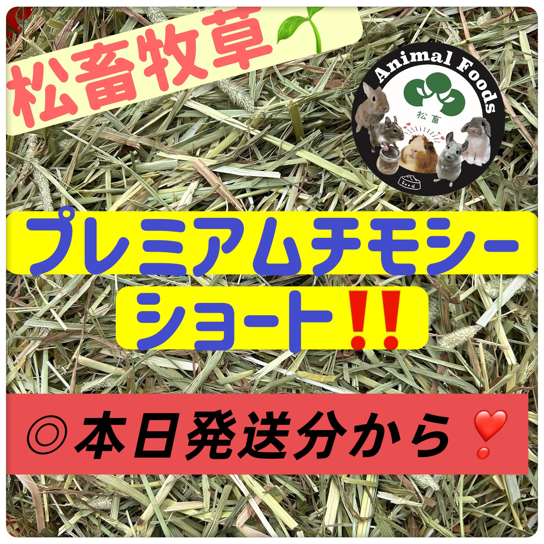 【松畜牧草】定番商品★チモシー・オーツのMIX 8kg 松畜牧草】定番商品☆チモシー・オーツのMIX 8kg - メルカリ