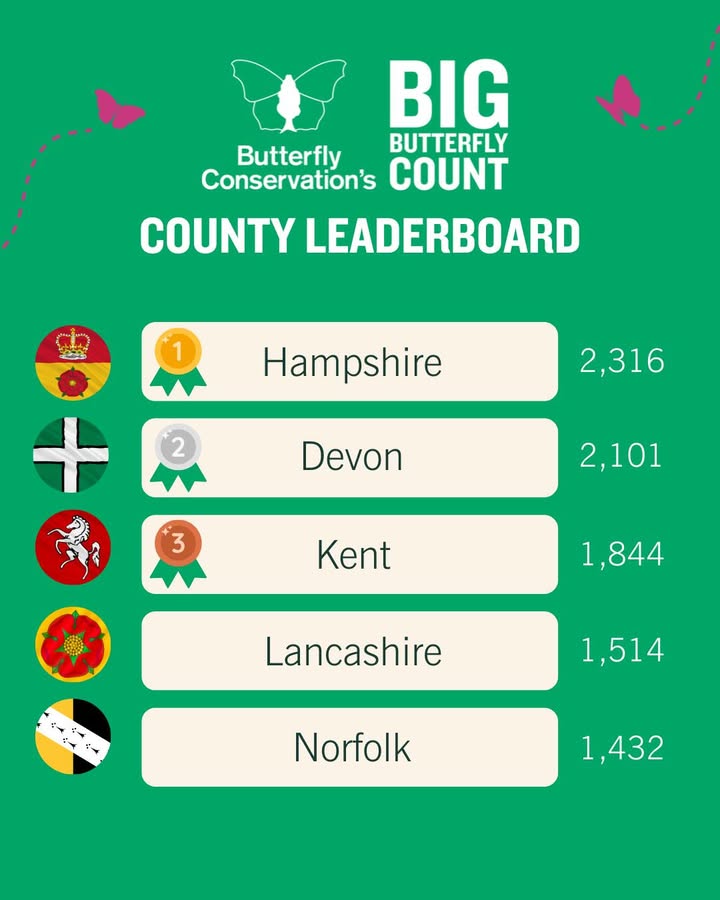 Which county will be crowned citizen science champions? 🏆

Hampshire are currently in the lead with an impressive 2,316 counts submitted so far, but Devon are hot on their heels!

Even the scores by getting out for the #BigButterflyCount 👉 …erflycount.butterfly-conservation.org