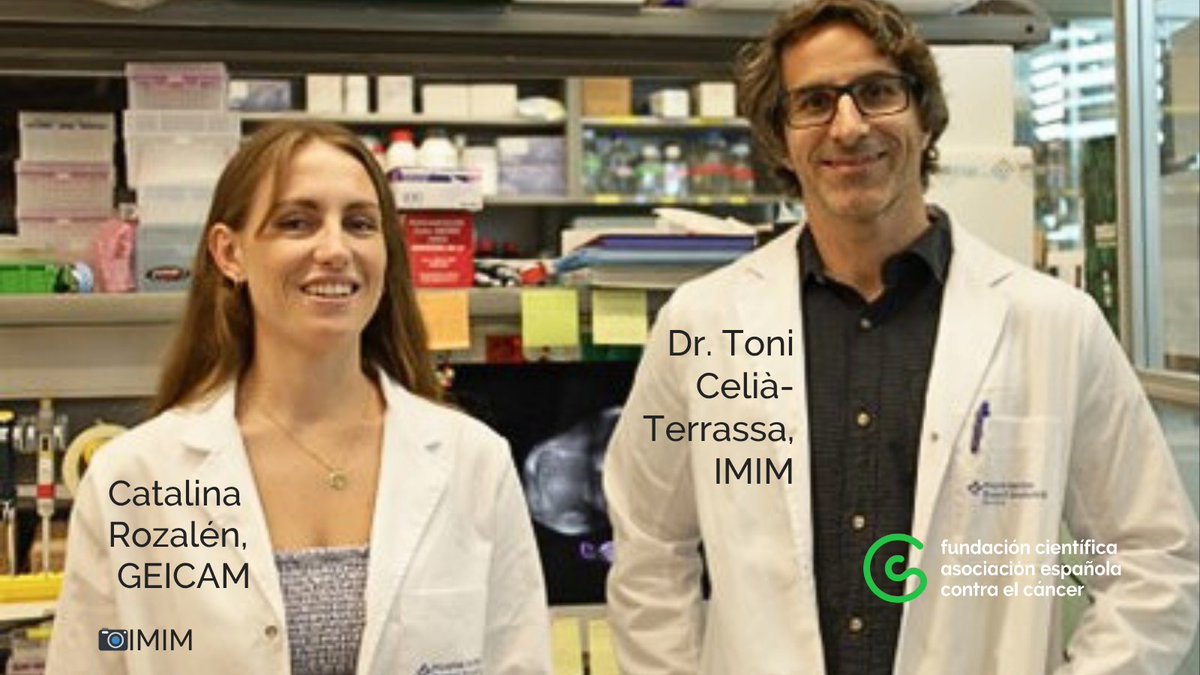 Contra el Cáncer Investigación (@contracancerinv) on Twitter photo 1/
🔬 Avances en #investigación contra la metástasis en #CáncerDeMama
El equipo del Dr. Celià-Terrassa (<a href="/hospitaldelmar/">Hospital del Mar</a> ), e investigadoras de <a href="/GEICAM/">GEICAM - Cáncer de mama</a> , han identificado una proteína clave: TIM-3, que asocian a mayor riesgo de metástasis.
🧵👇 1/
🔬 Avances en #investigación contra la metástasis en #CáncerDeMama
El equipo del Dr. Celià-Terrassa (<a href="/hospitaldelmar/">Hospital del Mar</a> ), e investigadoras de <a href="/GEICAM/">GEICAM - Cáncer de mama</a> , han identificado una proteína clave: TIM-3, que asocian a mayor riesgo de metástasis.
🧵👇