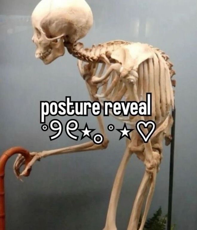 🕐HOURLY🕑 shitpost tweet media