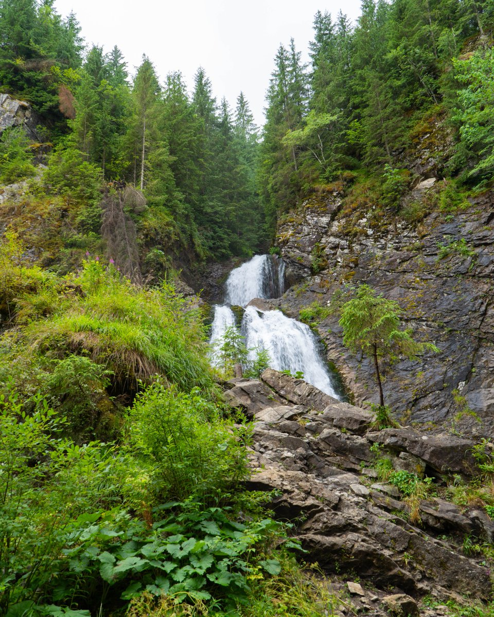 RNP_Romsilva's tweet photo. 🌊 Cascada Vălul Miresei din Parcul Natural Apuseni are peste 30 m înălțime și o marmită ce formează un adevărat voal de apă. Iarna devine teren de escaladă pe gheață! 🚗 Acces auto la 6 km de Răchițele. #Apuseni #Romsilva #Cascada #Natură #România https://t.co/OHlzFmCQ2O