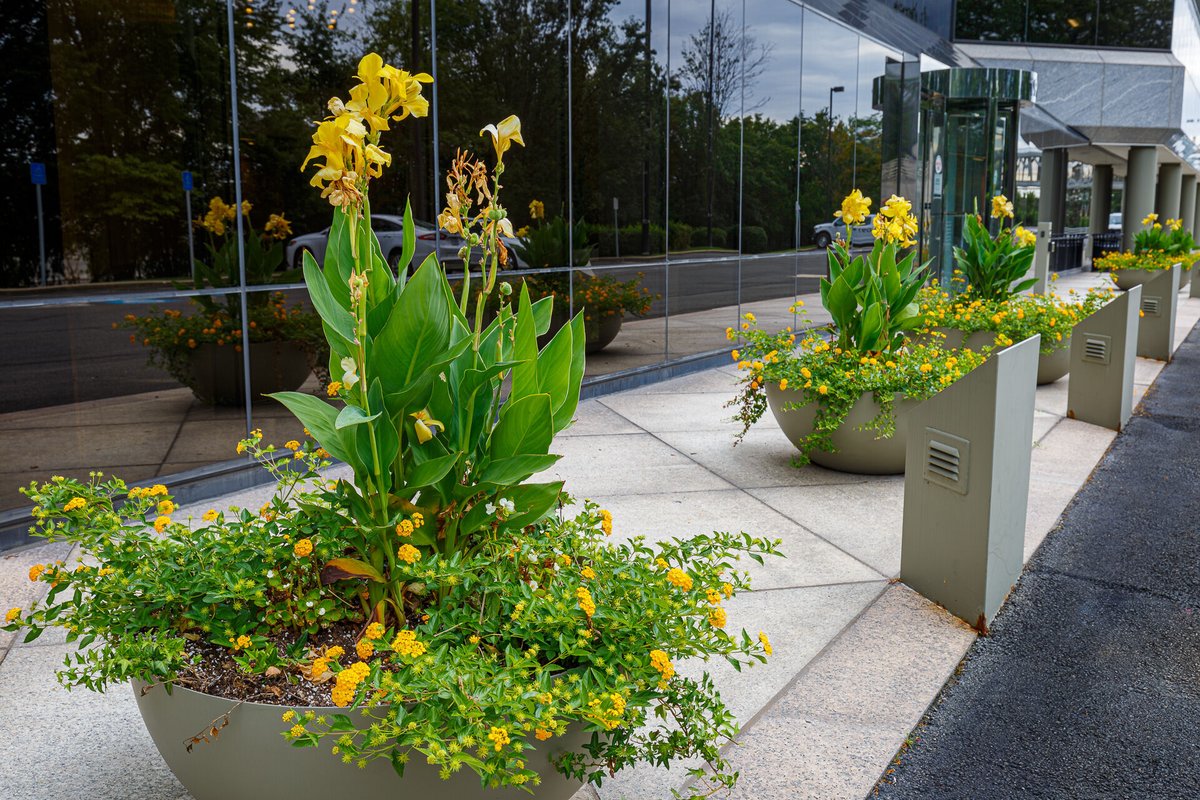 Great landscapes start with great people. We’re grateful for the dedication and teamwork we see every day across our branches. Let’s keep growing together.

#GreenTeam #LandscapingExcellence #CharlotteNC #DurhamNC #RaleighNC #HollySprings