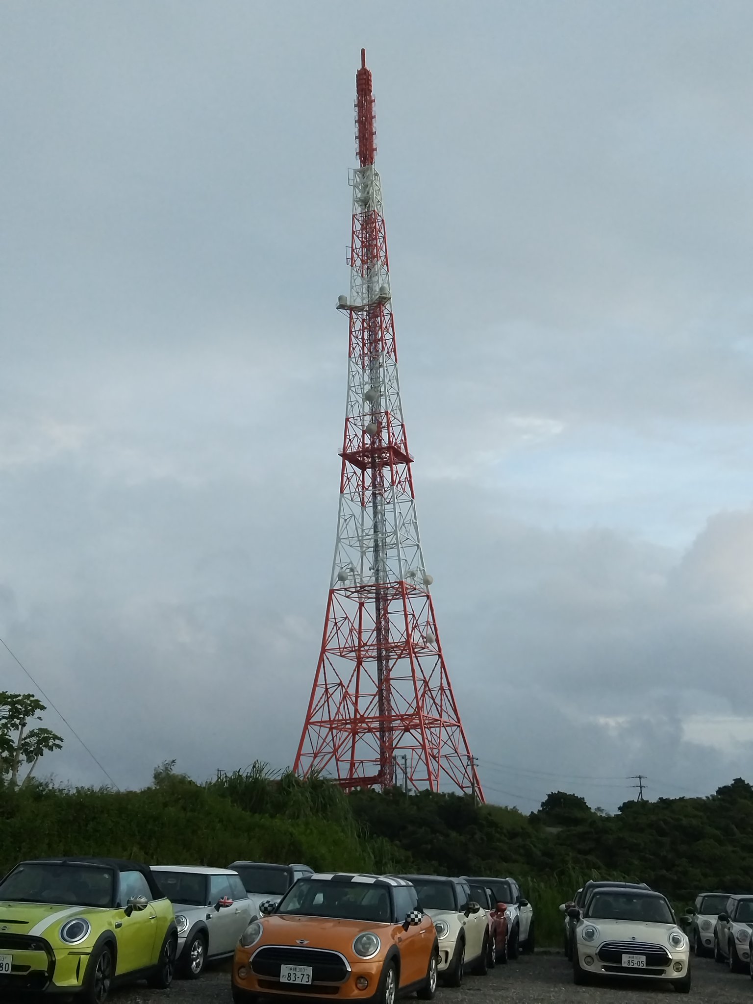 野球小僧さま専用／ 51NKkEtmafL._UF350,350_QL50_.jpg