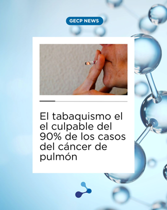 gecp_org's tweet image. ⭕El tabaquismo causa hasta el 90% de los casos de cáncer de pulmón.
➡️Dejar de fumar sí salva vidas.
👉A los 10 años sin tabaco, el riesgo baja casi al de quien nunca fumó.
gecp.org