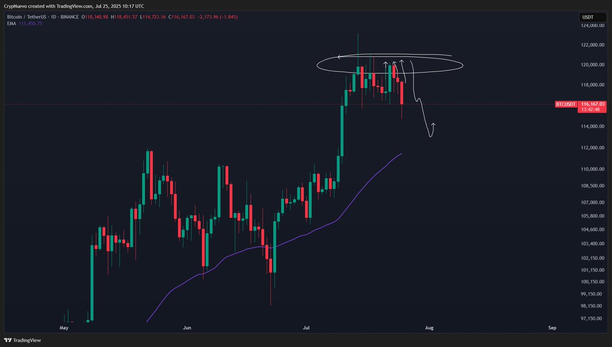 CrypNuevo 🔨 tweet media