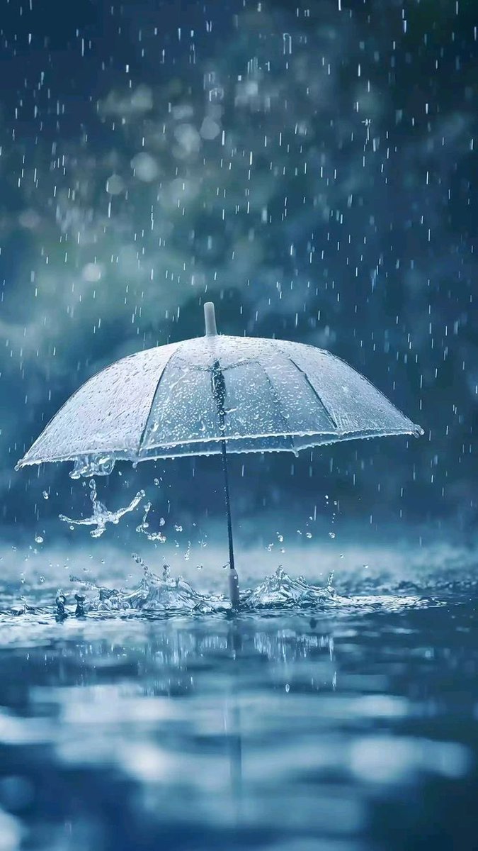 <a href="/d511y/">العتيبيّ</a> بعض الأرواح مثل المطر،
تأتي فجأة، فتنبت فينا حياة🕊