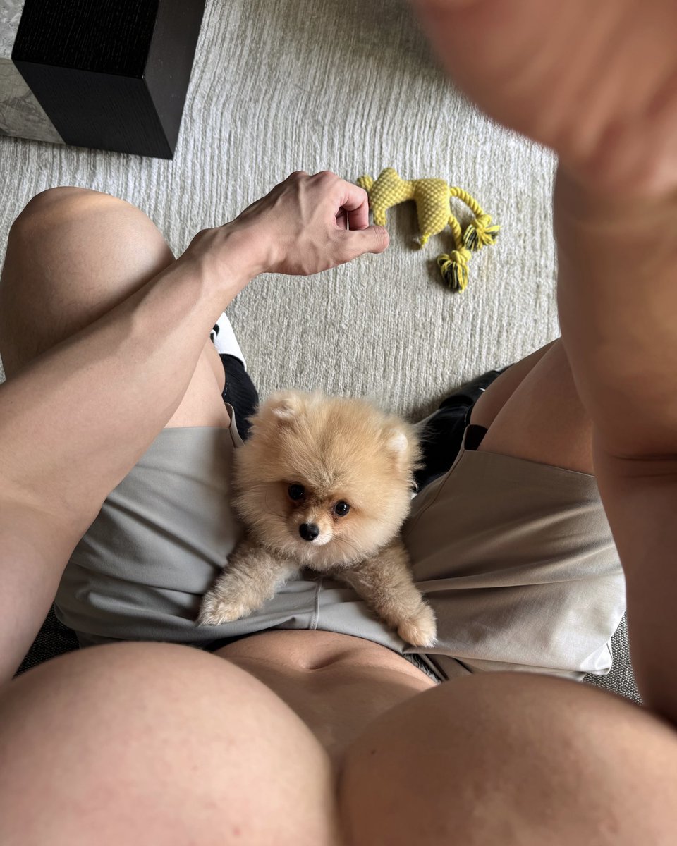 markma58304799's tweet image. 怎么这么可爱？