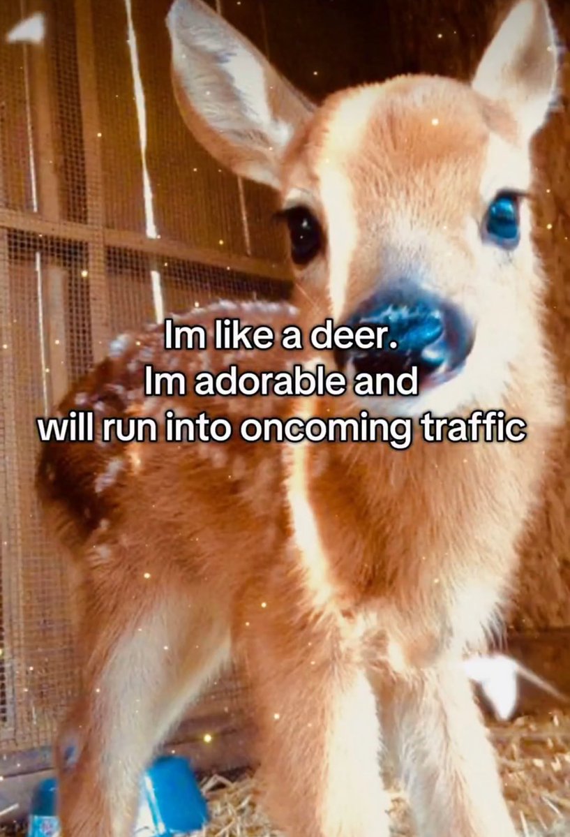 arcanepsionics's tweet image. ⠀╱  my health is so far down the shitter rn lmfaooo , i’m just gonna go on a hiatus n log out until it’s done with or im better ,,,
