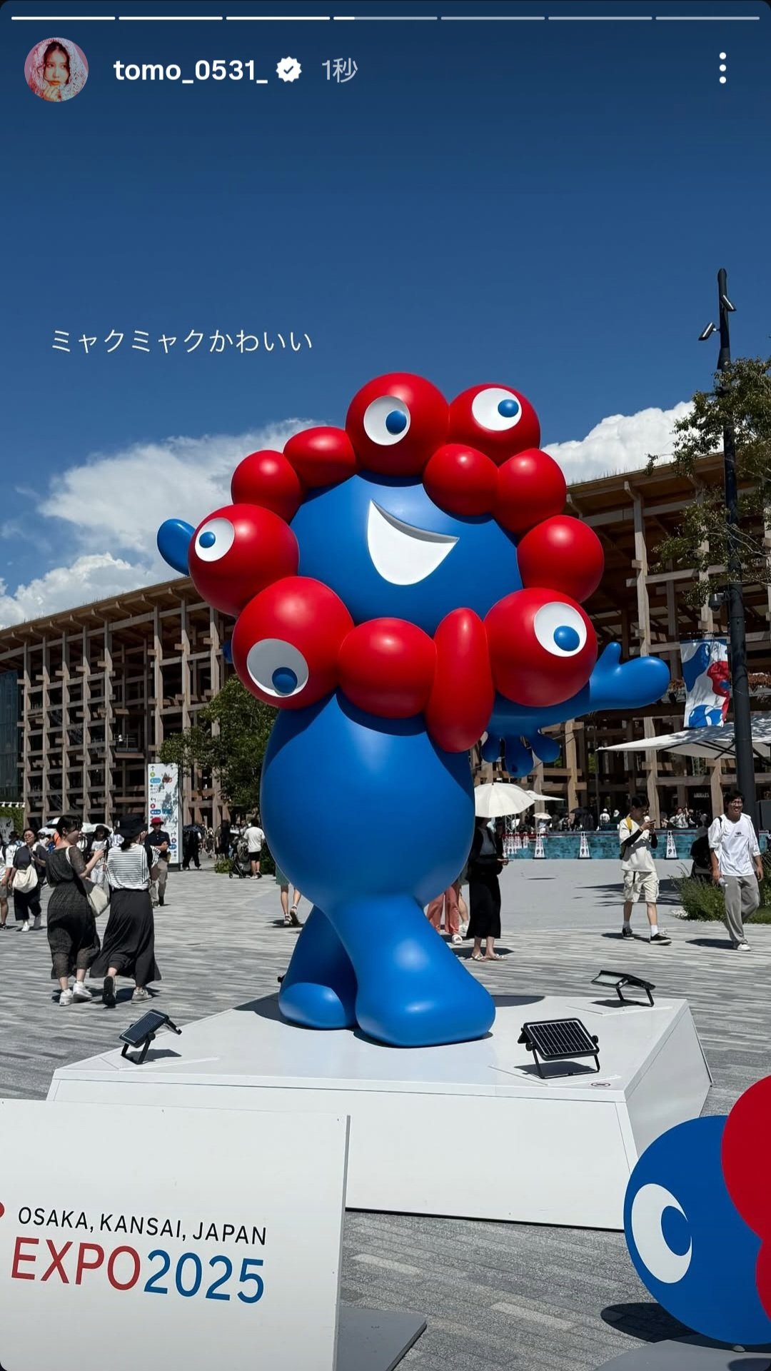 （7月VIP 15%off中） ミックルです❣️0710 L - Search / X