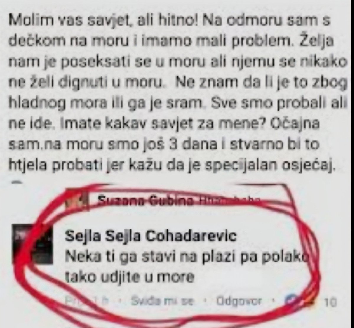 BoraKonj's tweet image. Kvalitetni letnji saveti.