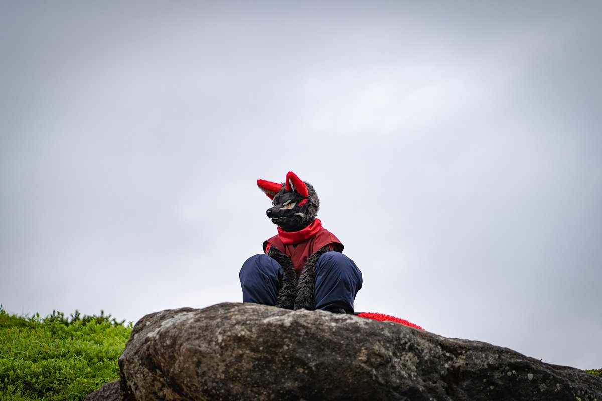 見張り忍者
#FursuitFriday