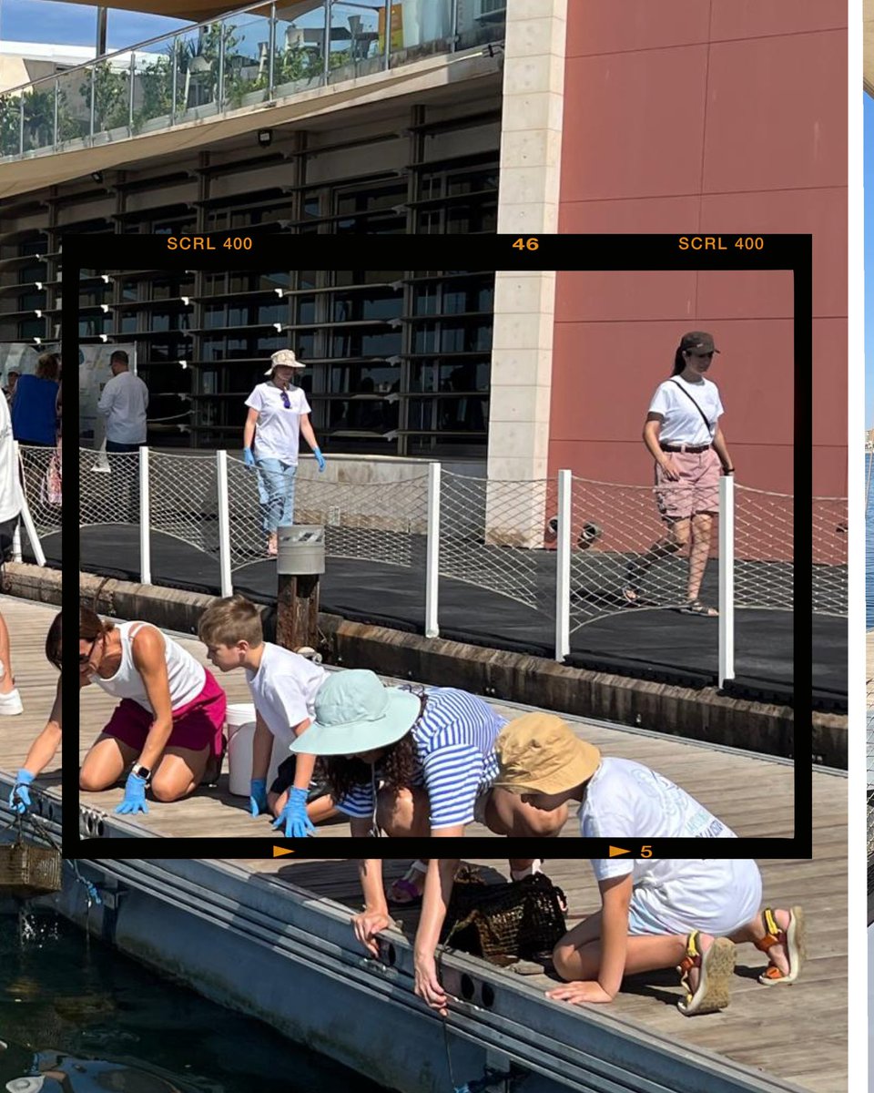 RemediOSproject's tweet image. 🔬🌊 Más de 30 familias participan ya en la “Jardinería de ostras” del proyecto #RemediOS2 para ayudar a recuperar el #MarMenor con ciencia ciudadana 🧑‍🧑‍🧒‍🧒

Cada cesta de Ostrea edulis = una oportunidad para filtrar agua y generar conocimiento colectivo 🐚💧