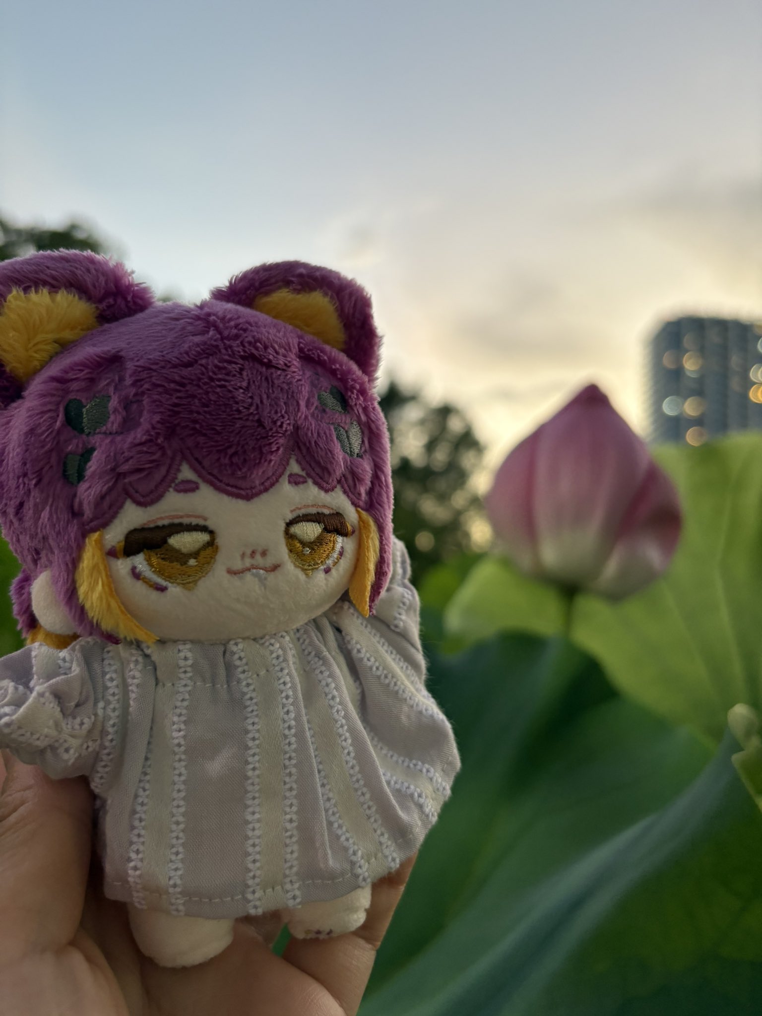 みりおʕ⁠ ⁠•⁠ᴥ⁠•⁠ʔ⁠ (おまとめ品) 3セット ぬい服 みりおʕ⁠ ⁠•⁠ᴥ⁠•⁠ʔ⁠様 専用 (おまとめ品) 3セット ぬい服