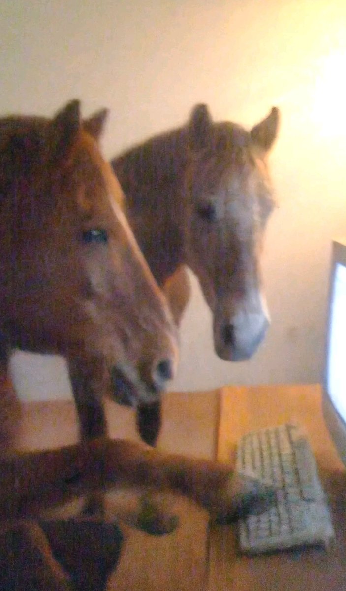 بالله شف لي اخر ابيات المتنبي