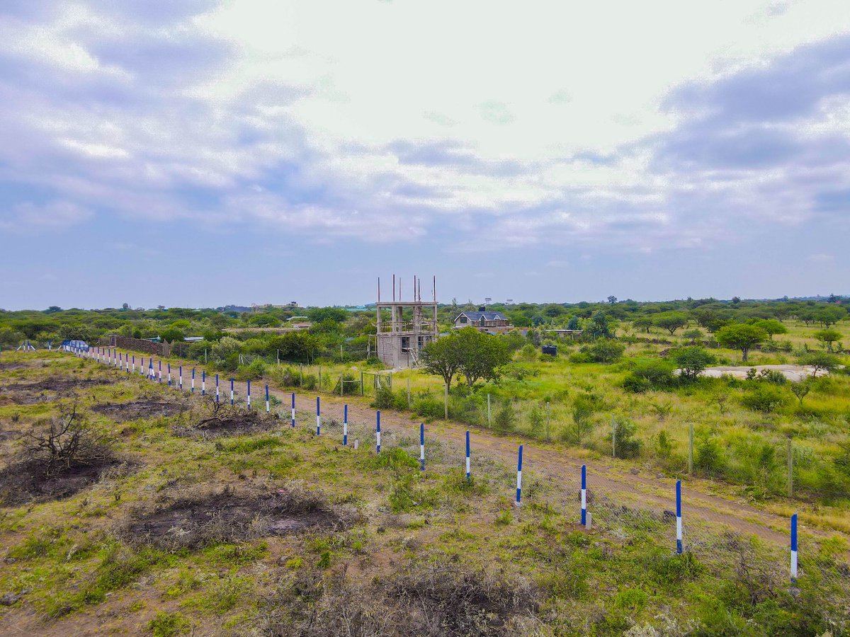 fanaka_limited's tweet photo. Remember, when God blesses you to buy your parents a piece of land in a beautiful location like this.
Get in touch with us on 0795664455 for more details. https://t.co/y0dRvfSVhH
Fanaka In Ngong
#NgongViewGardens #LandforsalwinNgong #PlotsforsaleinNgong #Megalaunch https://t.co/mjuALFb7xf
