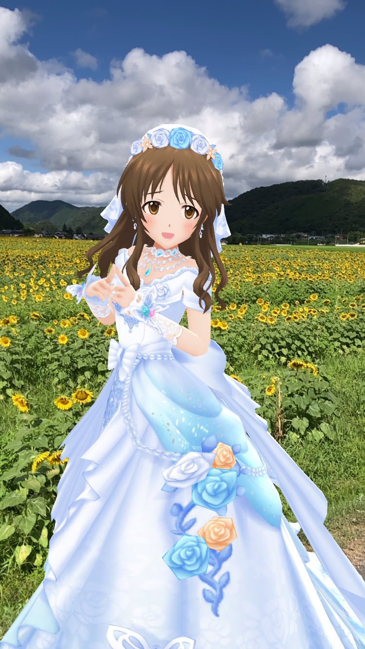 ❤️ひまわり様❤️写真 🌻 field of sunflower 千葉県にある藤崎ひまわり回廊 先日