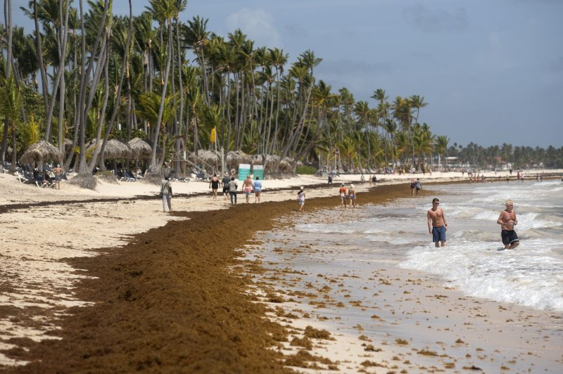 TheNancyRoc's tweet image. Une invasion record de sargasses menace le secteur touristique : certaines îles des Caraïbes, dont la République dominicaine, enregistrent une baisse de réservations de 30 à 40 % durant les pics de sargasse
@UPI #NRoc