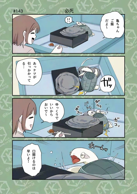 亀飼い4コマ「必死」 