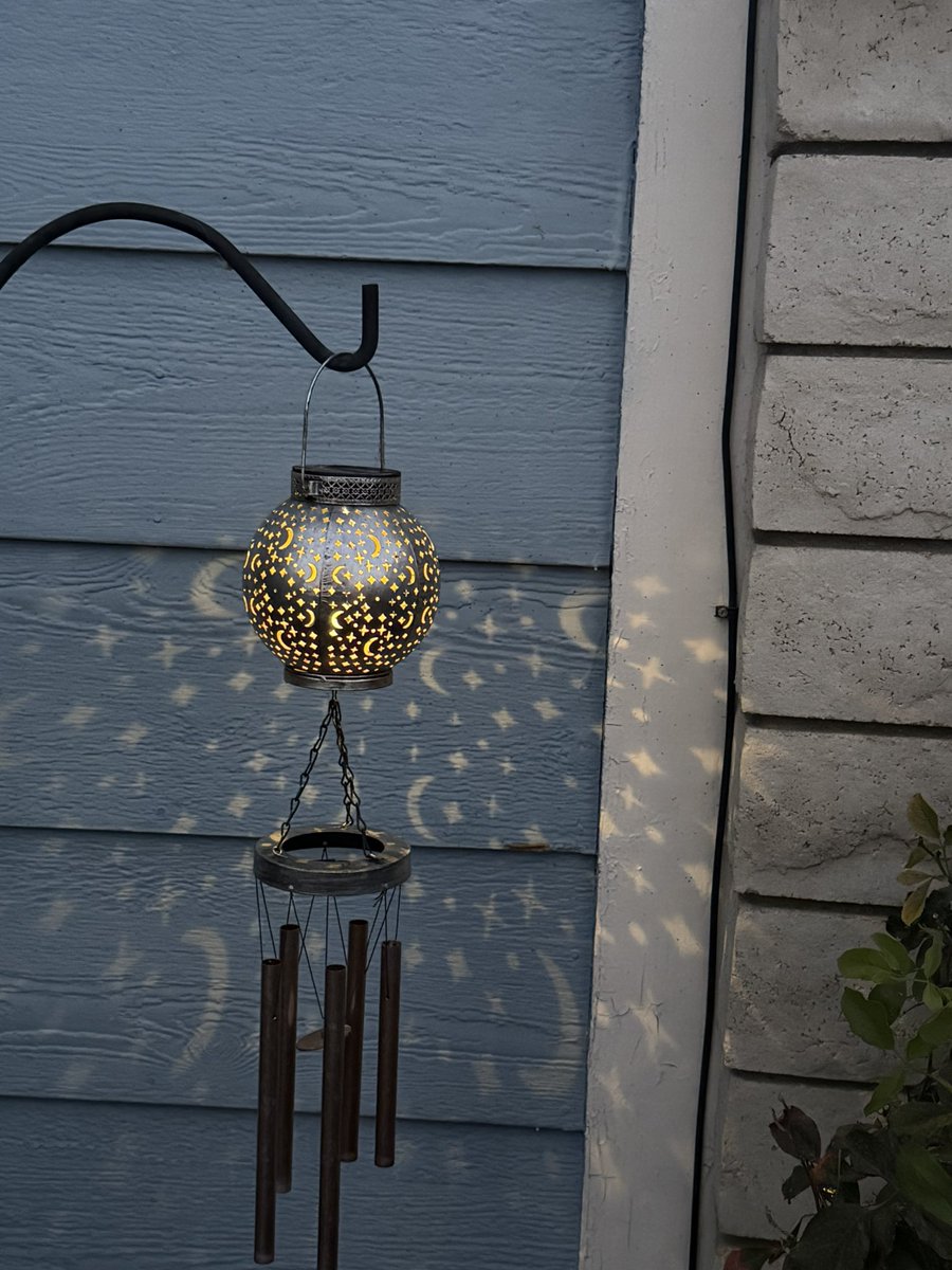 sunny_joni's tweet image. Standing outside in the yard yesterday. Thankful it had cooled off to 87F, and for the slight breeze. Watched the sun go down as I thought about my day, and then wondered how and why I was outside because I was in middle of washing dishes. ADHD life haha.