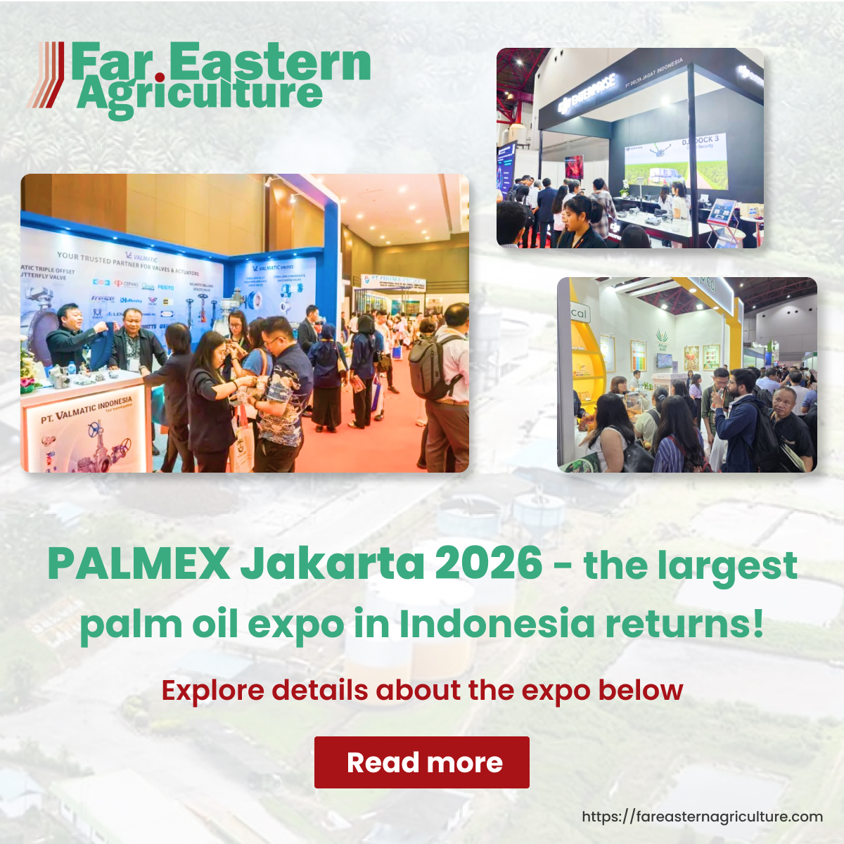 Far Eastern Agriculture (@feagriculture) on Twitter photo PALMEX Jakarta 2026 is back!
Join Southeast Asia’s largest palm oil industry expo & explore new technologies, connect with experts, and discover sustainable solutions.
Book your stand today!
For more information visit <a href="/FEAgriculture/">Far Eastern Agriculture</a> : zurl.co/ywOOw
#Palmex2026 PALMEX Jakarta 2026 is back!
Join Southeast Asia’s largest palm oil industry expo & explore new technologies, connect with experts, and discover sustainable solutions.
Book your stand today!
For more information visit <a href="/FEAgriculture/">Far Eastern Agriculture</a> : zurl.co/ywOOw
#Palmex2026