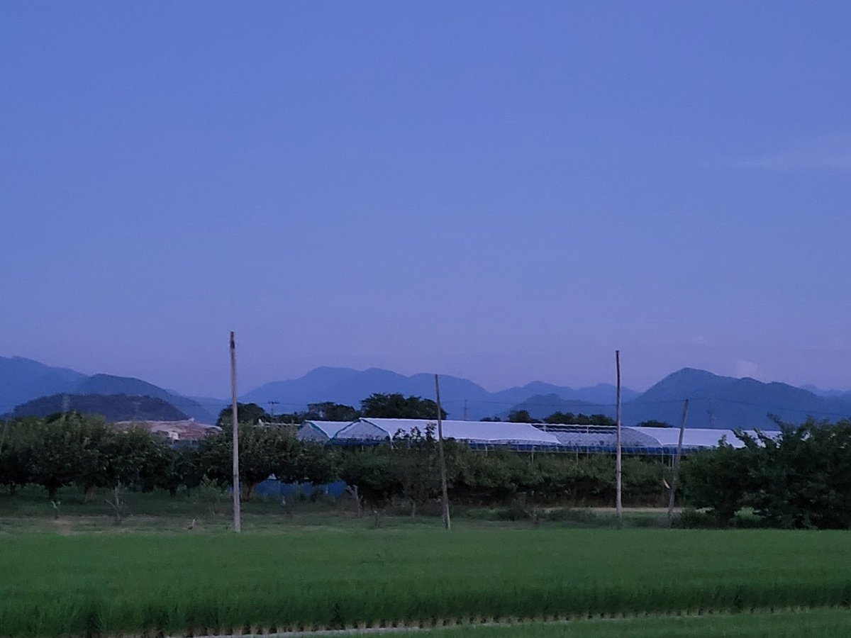 こんばんは～🐱
今日も無事に
一日を過ごすことができました
今日もこの後
夜半から明朝までの勤務です
夕方のおひさまに送られて
おつきさまと一緒に
出勤します
明日も皆様と私が
いつもの一日になりますように
チチンプイプイ🌟🧙‍♀️
皆さまには
おやすみなさい🥱🛌💤
私はいってきます🚙💨