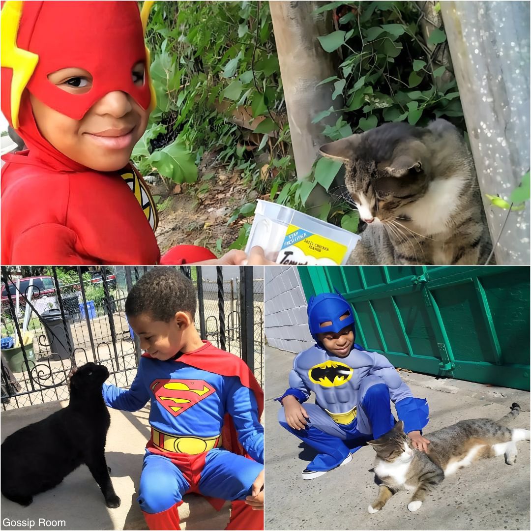 GossipRoomOff's tweet image. 🚨 À 5 ans, il devient un super-héros pour les chats de gouttière !
Shon, un petit garçon originaire de Philadelphie, se déguise en super-héros pour nourrir et prendre soin des chats errants avec sa tante.
Surnommé "Catman", il a un don unique pour approcher les félins les plus…