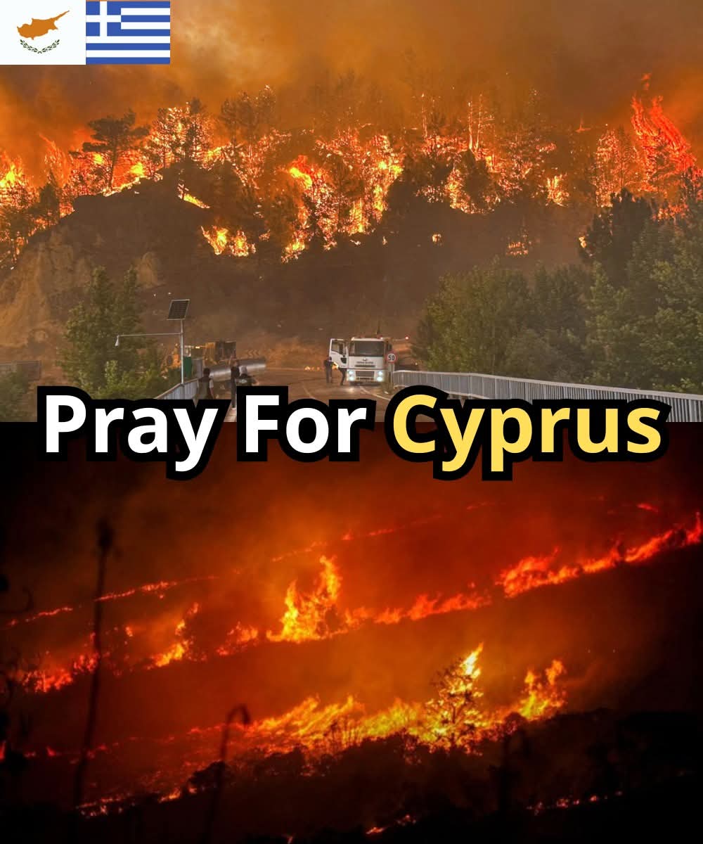 anaik2020's tweet image. Το τεράστιο κύμα πυρκαγιών στη νότια Κύπρο, κοντά στη Λεμεσό και το Σούνι, κατέκαψε πάνω από 120–124 τ.χλμ δασικών εκτάσεων, αφήνοντας πίσω του 2 νεκρούς, εκατοντάδες τραυματίες και εκτοπισμένους .
#ΚΥΠΡΟΣ