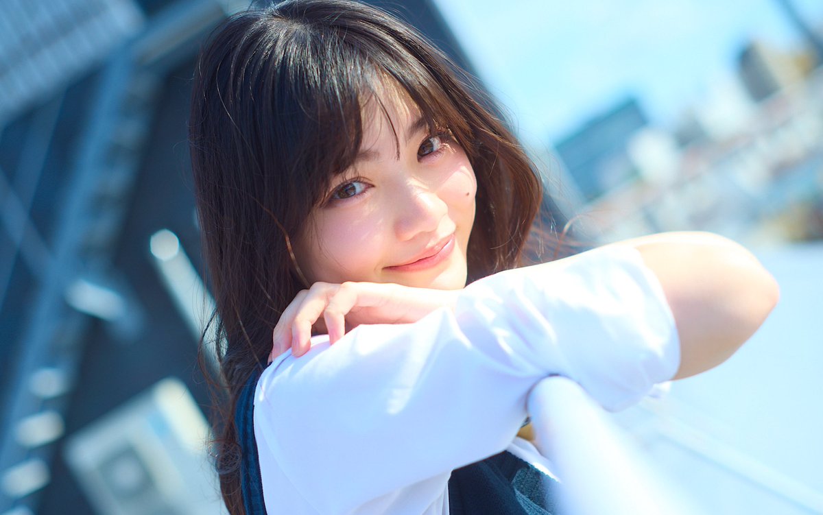 ニコラさま ステラ デラックス（毛丈：5mm・13mm・20mm・25mm、ローラー