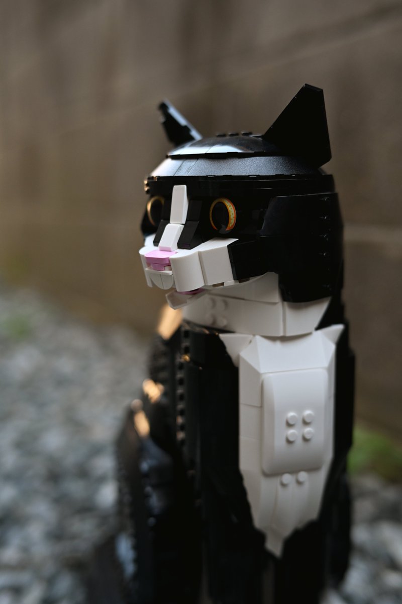 dpyukiqb's tweet image. 21349 Tuxedo Cat 🐈
お外で撮ってみたら、さらにネコ感。
#lego #cat #legoideas #legoleaks #legonews #legocat #legogirl