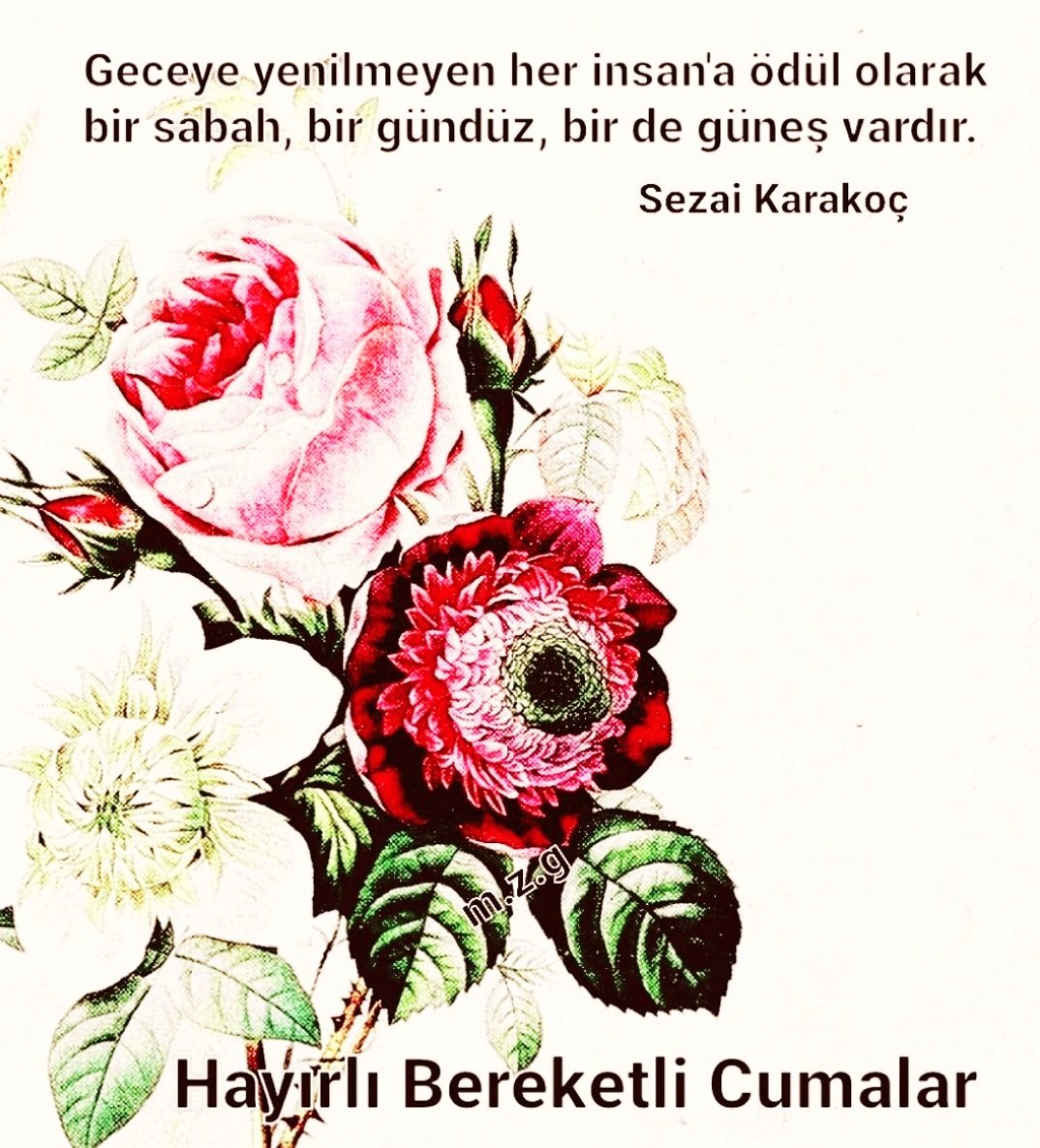 Geceye yenilmeyen her insan'a ödül olarak, bir sabah, bir gündüz, bir de güneş vardır.
(Sezai Karakoç) 

Cumanız Mübarek Olsun
