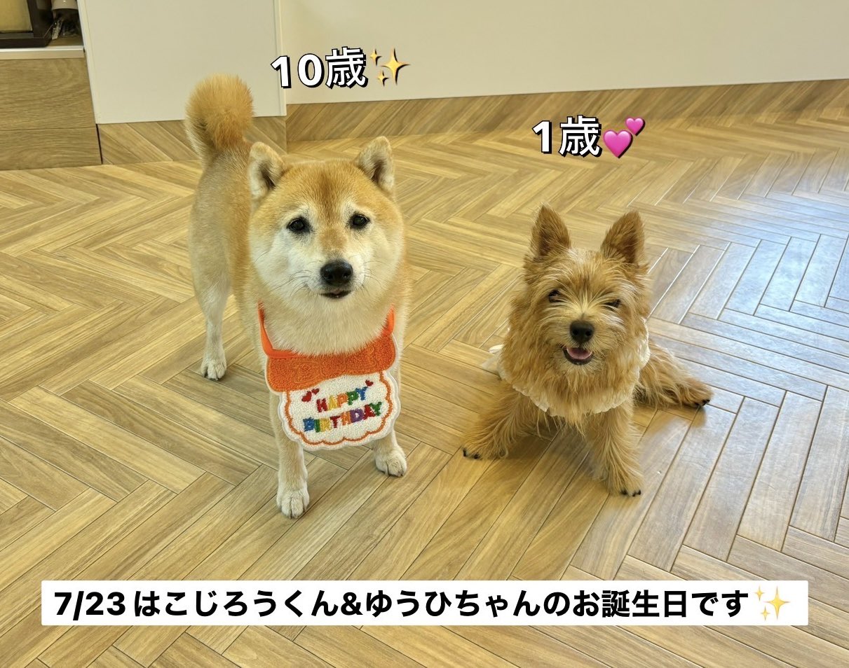 T.Katsumi (@ChinaObachan517) / X
